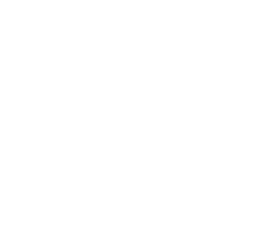 Mateo's Mexican Grill