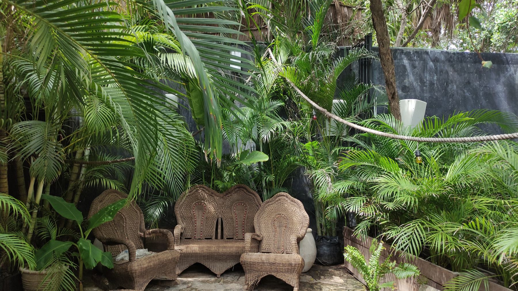 Jungle lounge corner with loudspeakers blended into the plants