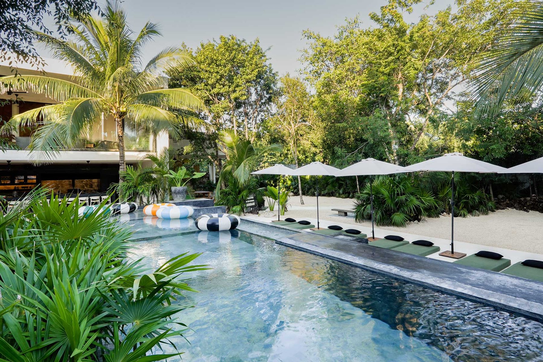 Pool, loungers and jungle garden
