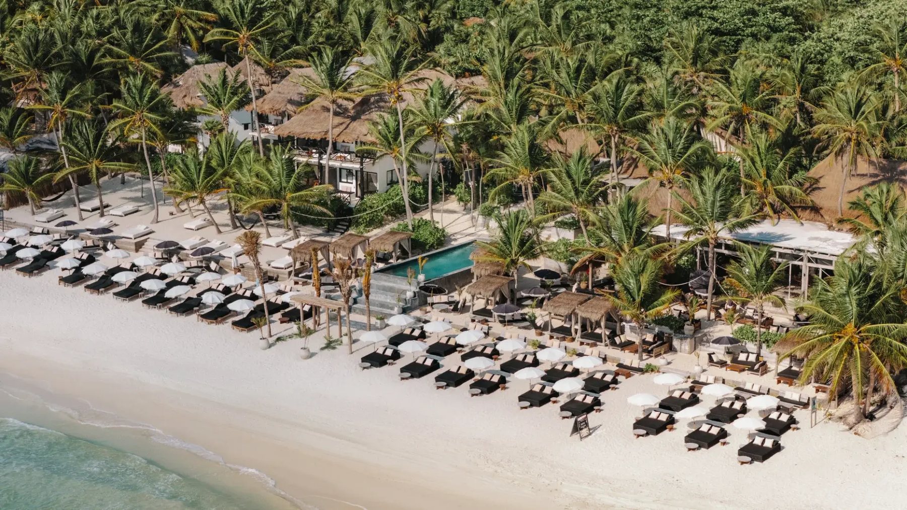 Aerial view of the beach club with loungers, umbrellas and pool among palms