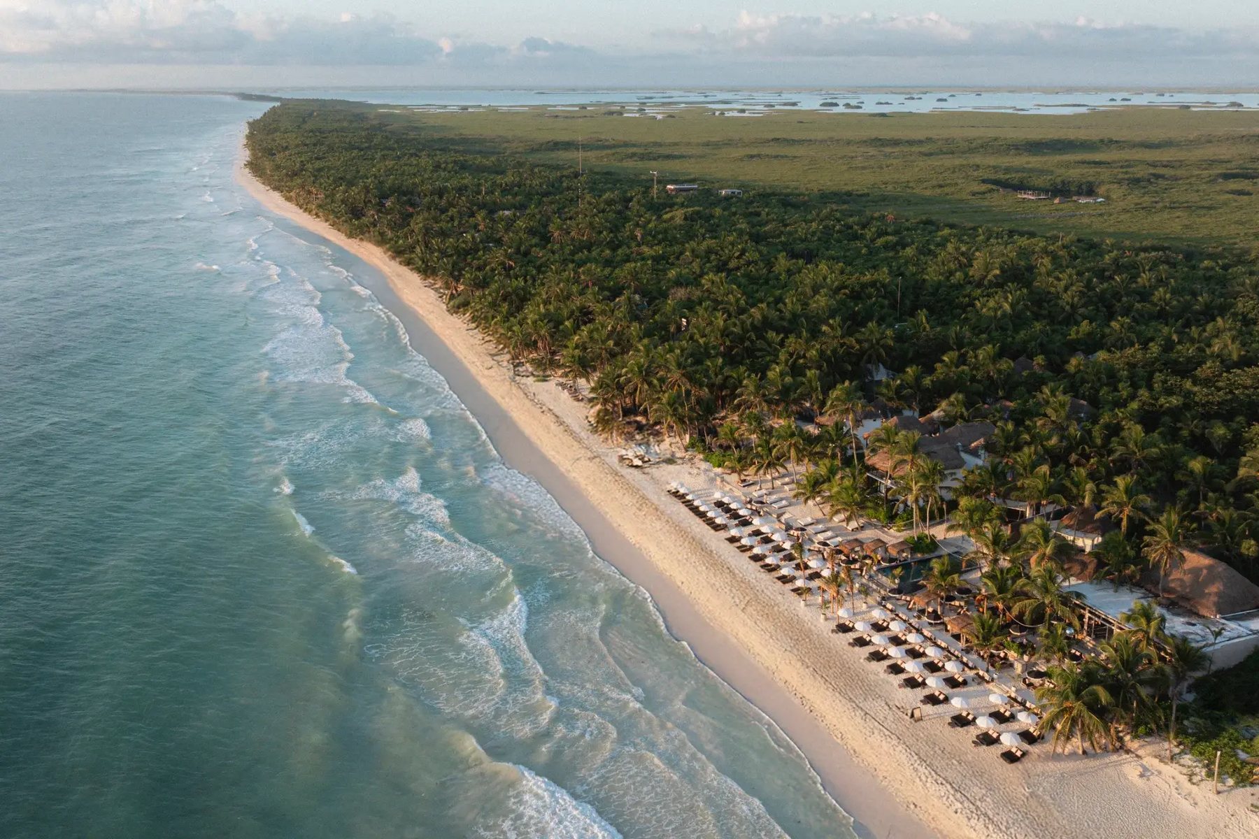 The Tulum coast from the air, with the beach club beside the jungle