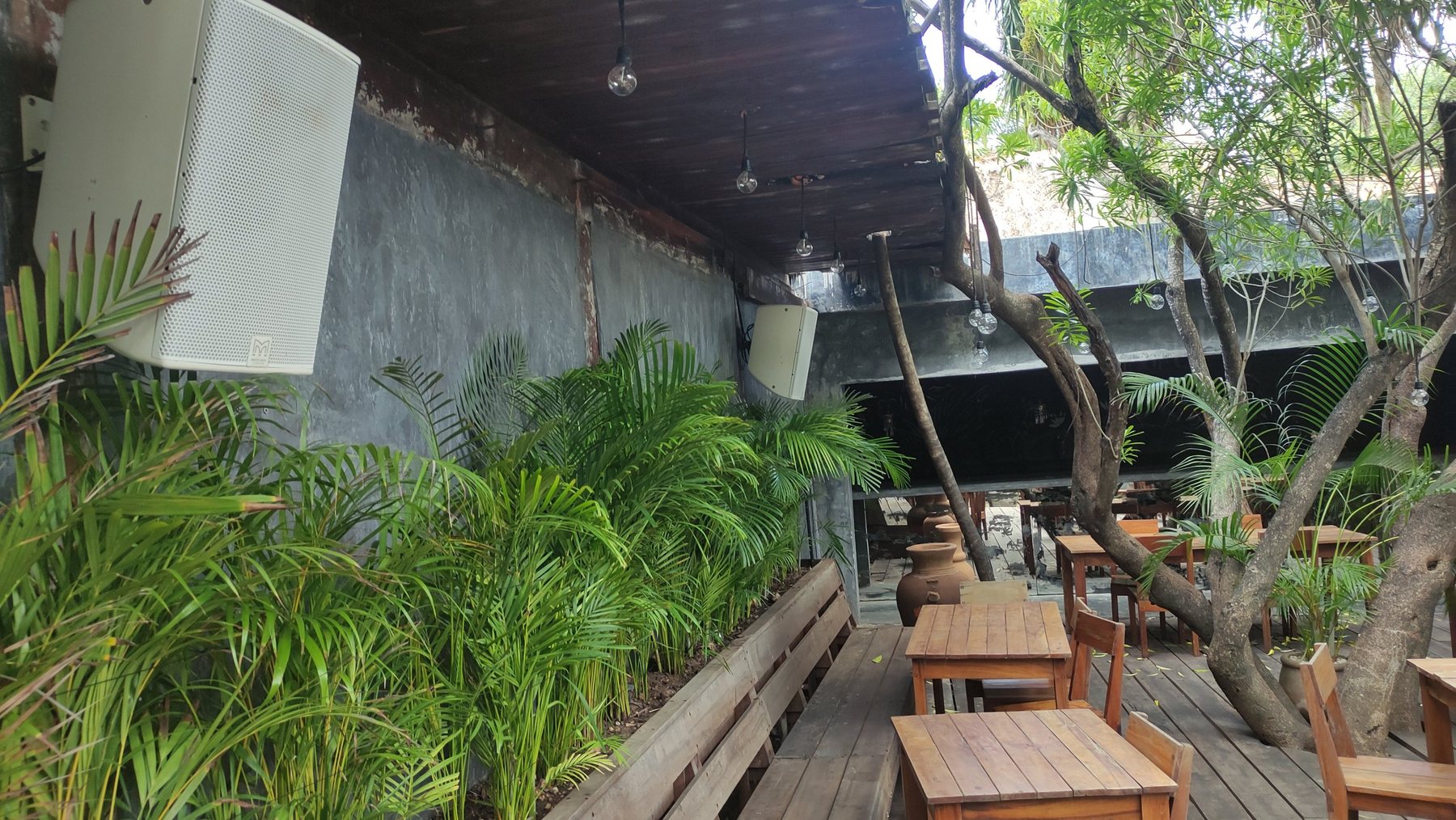 White Martin Audio loudspeakers above the palm planter