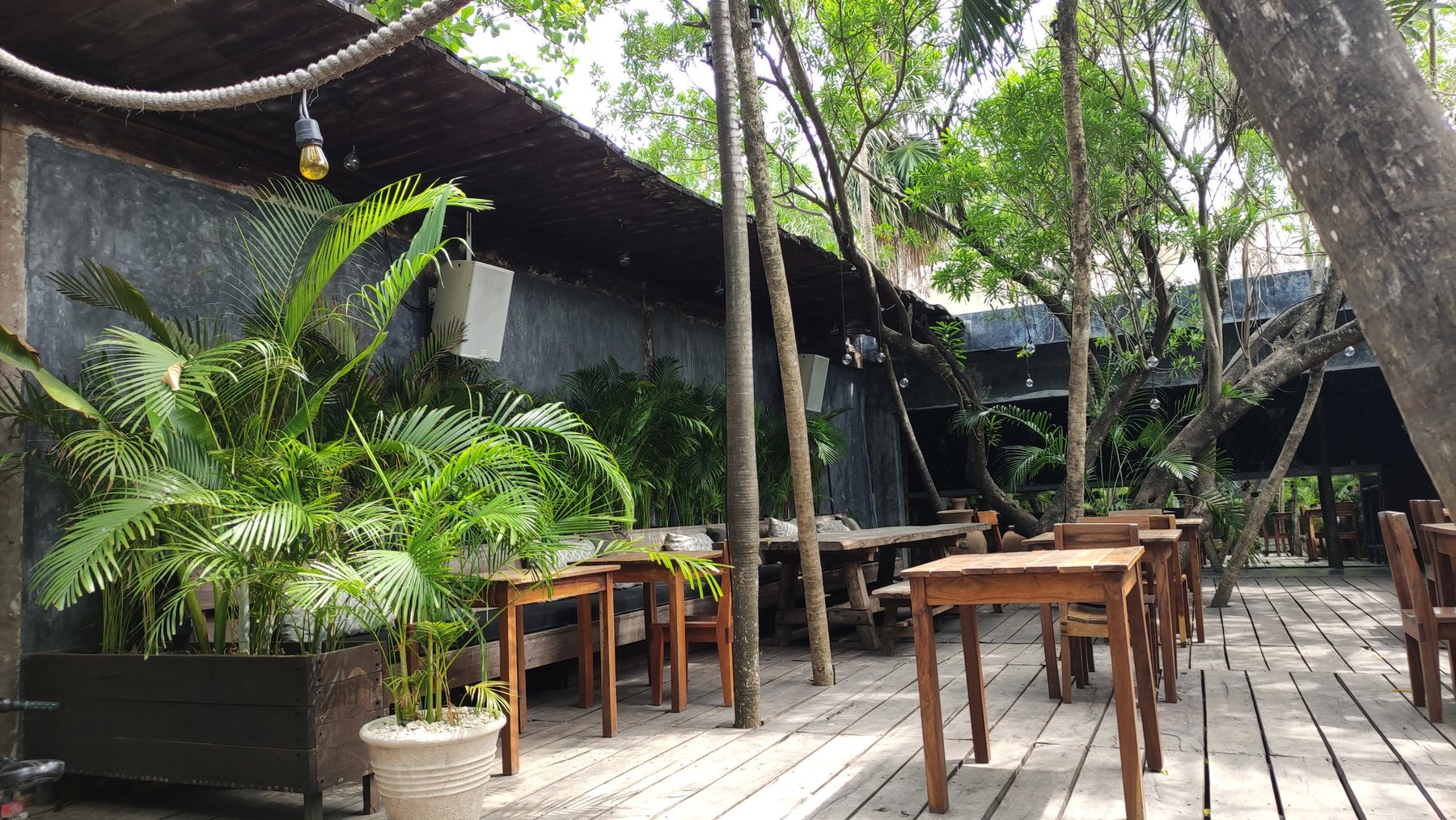 Gitano's timber terrace among trees and palms, with white loudspeakers on the wall