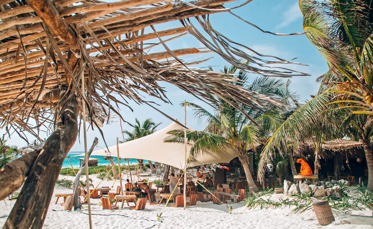 The restaurant seen through palm fronds, with the sea behind